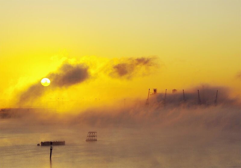 Sunrise over foggy harbor