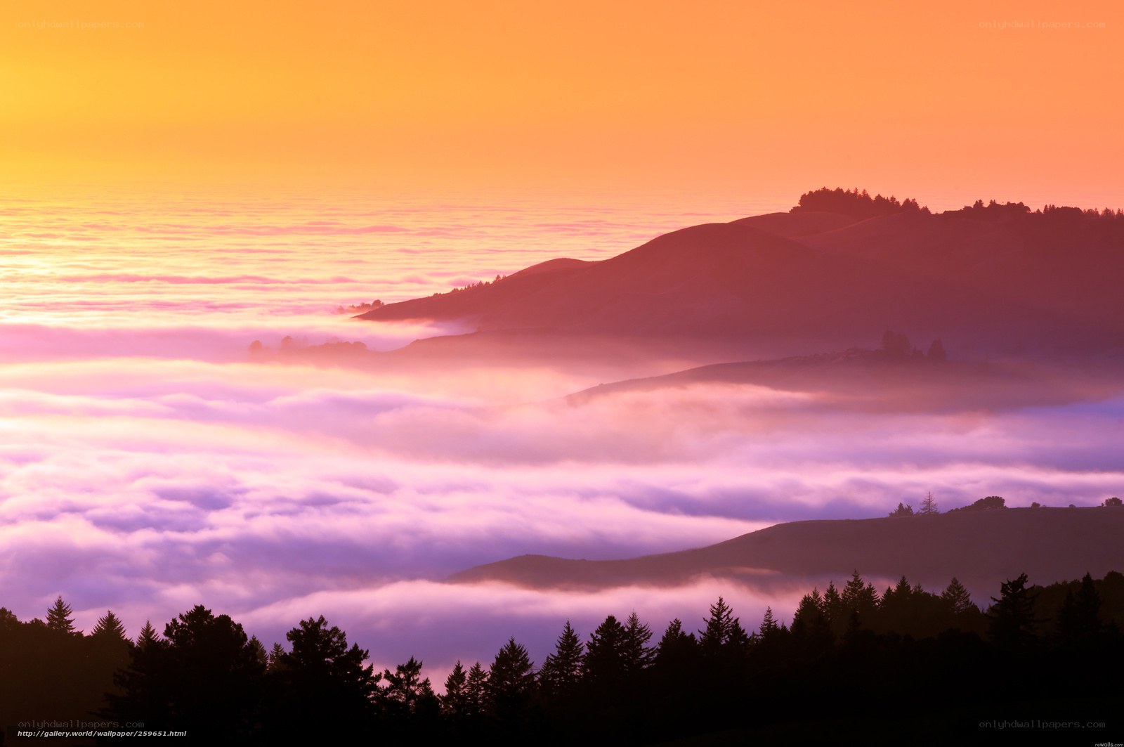 Sunrise over foggy hills