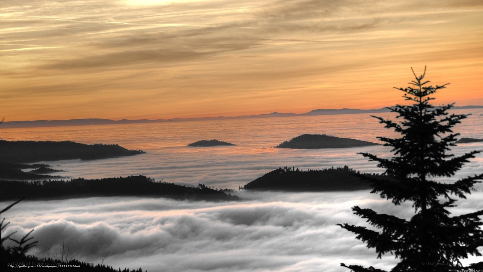 Sunrise over foggy mountains