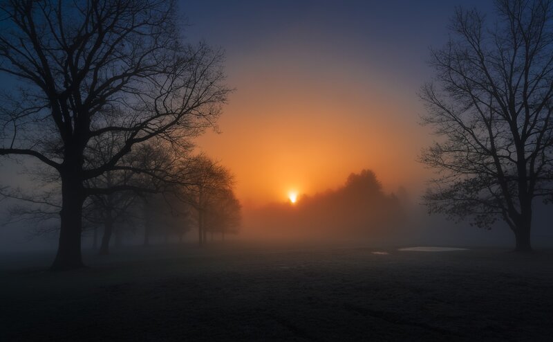 Sunrise over Foggy Park