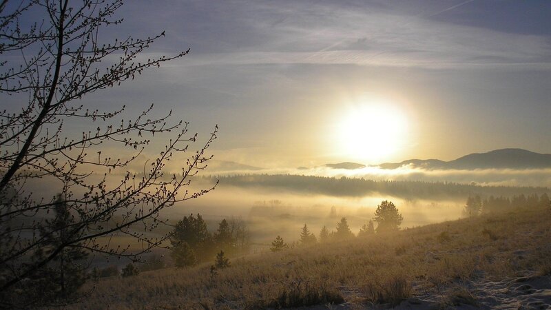 Sunrise over Foggy Valley — Yellow, Serene