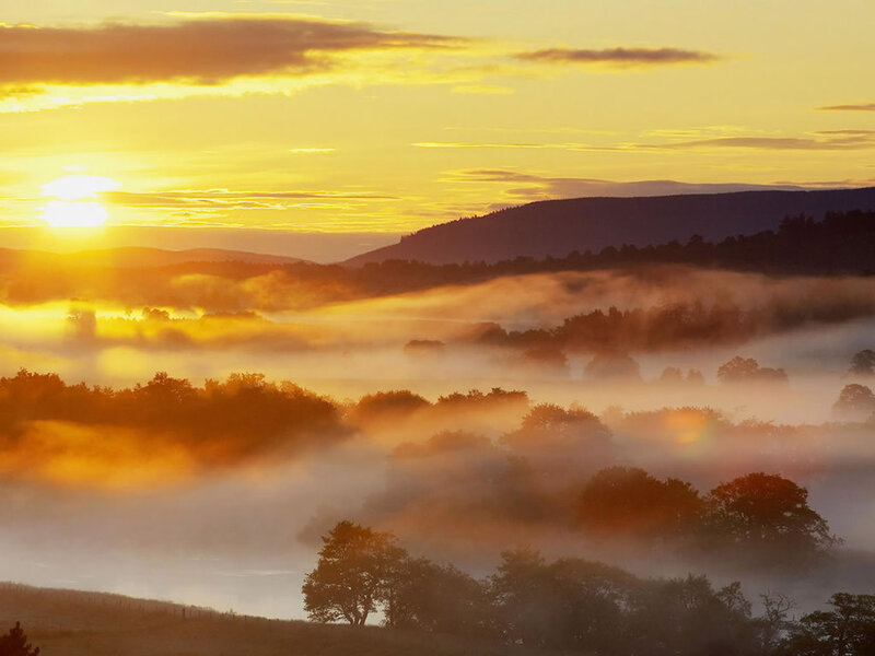 Sunrise over Foggy Valley — Yellow