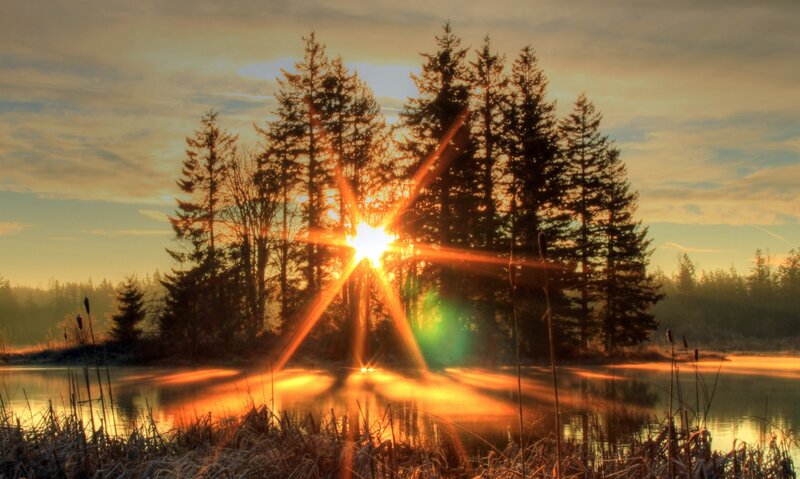 Sunrise over forest lake