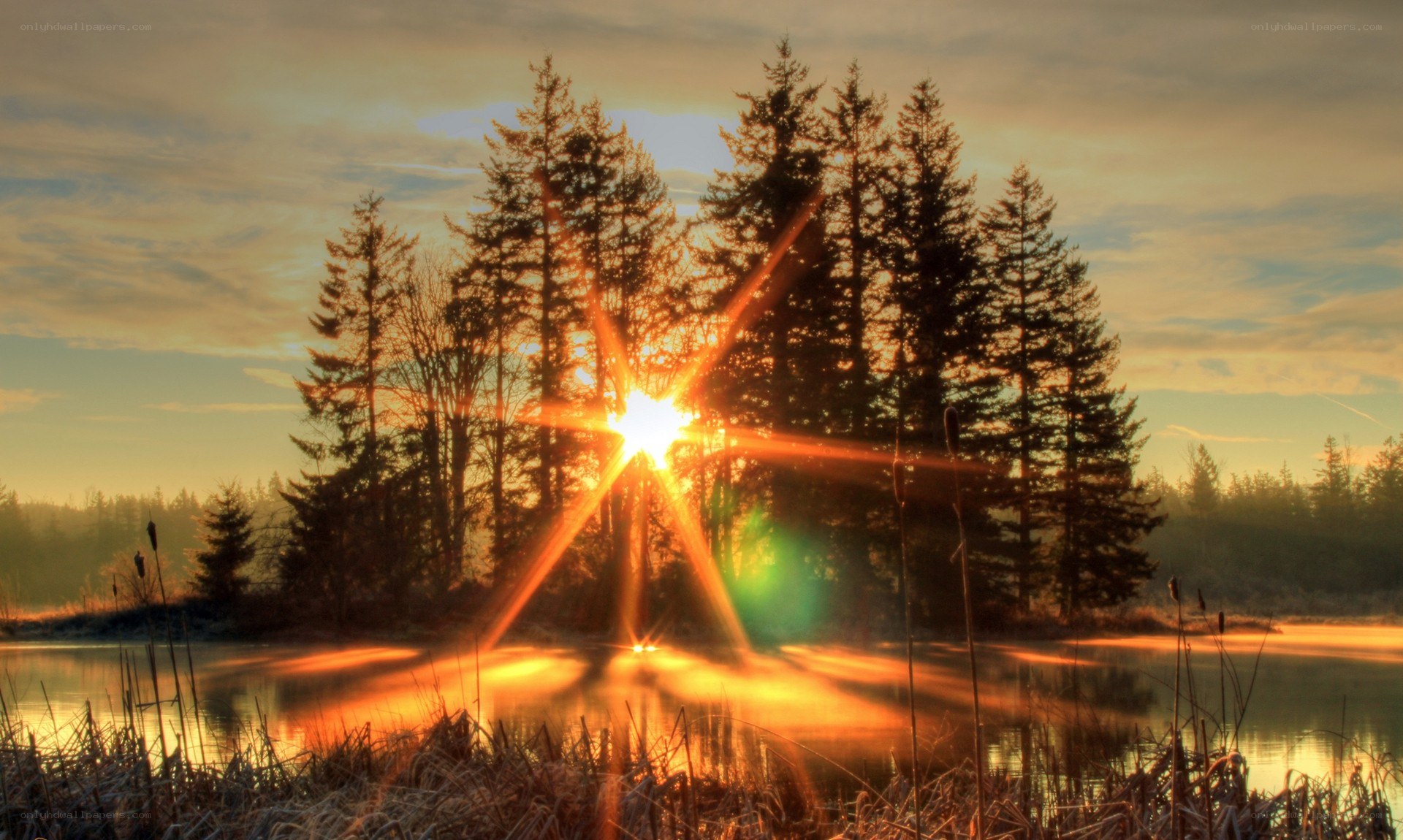 Sunrise over forest lake