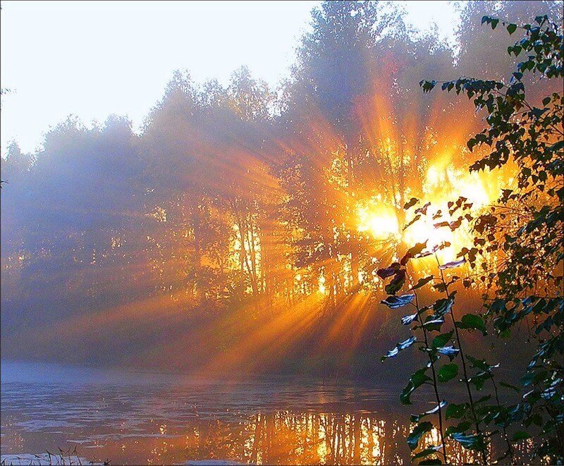 Sunrise over forest lake
