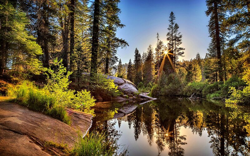 Sunrise over Forest Lake — Blue