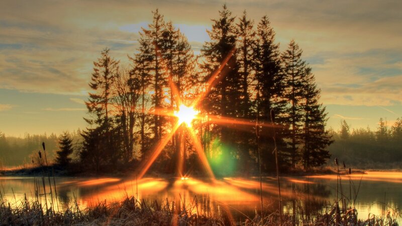 Sunrise over Forest Lake — Orange, Serene