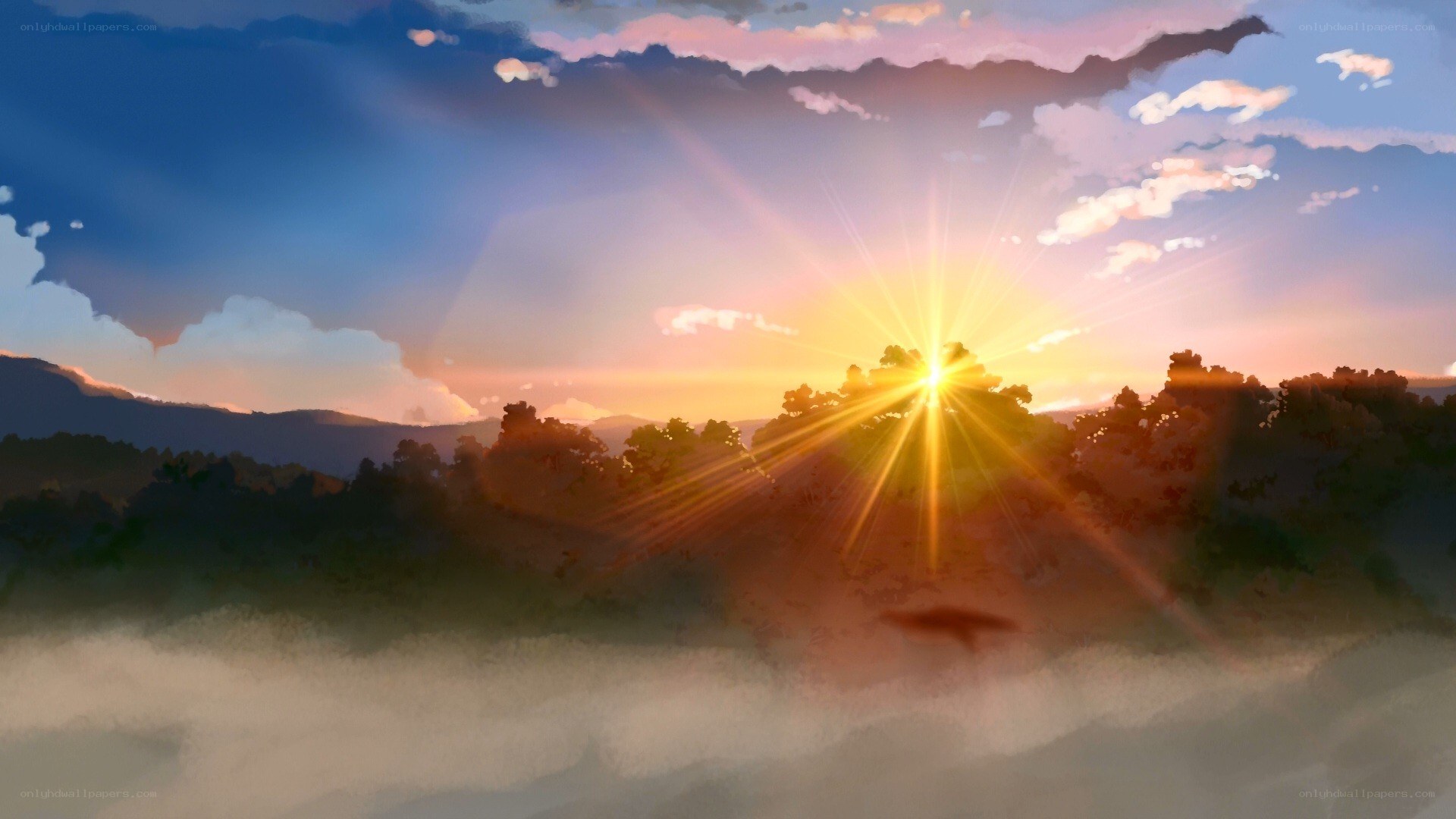 Sunrise over forest landscape