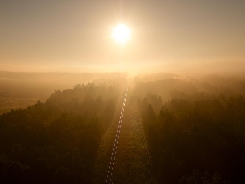 Sunrise over forest railway
