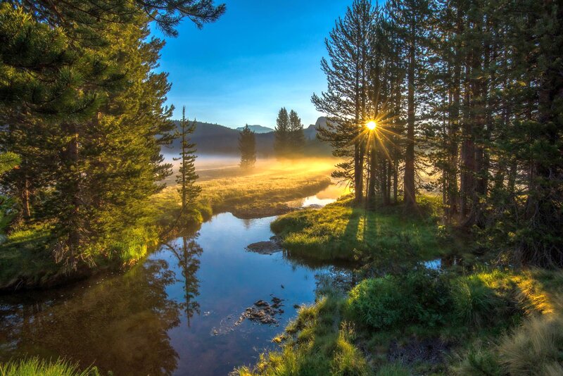 Sunrise over Forest Stream