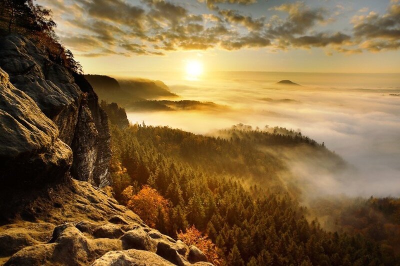Sunrise over Forest Valley — Gold