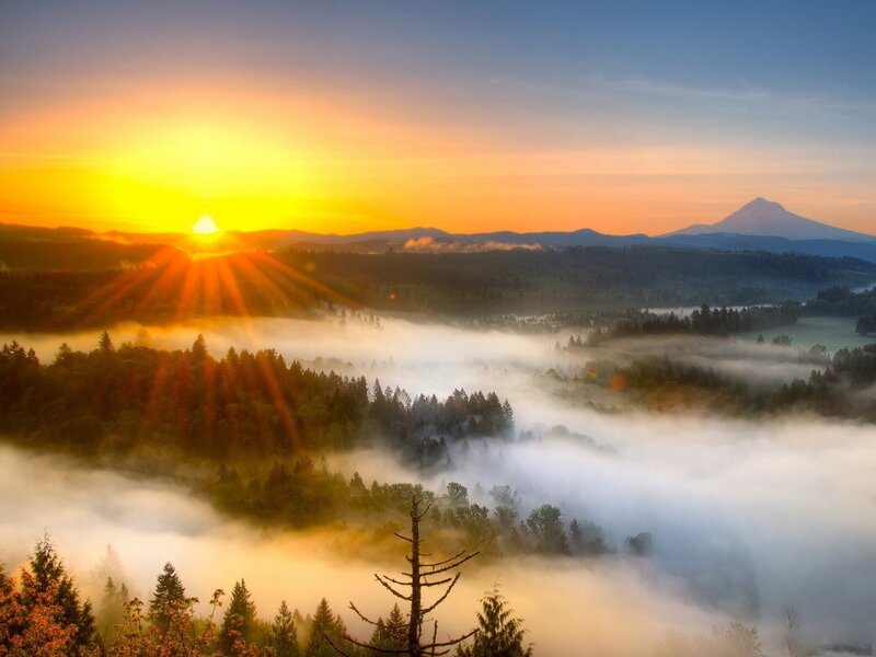 Sunrise over Forest Valley — Orange