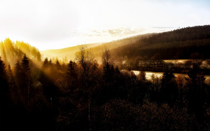 Sunrise over forest valley