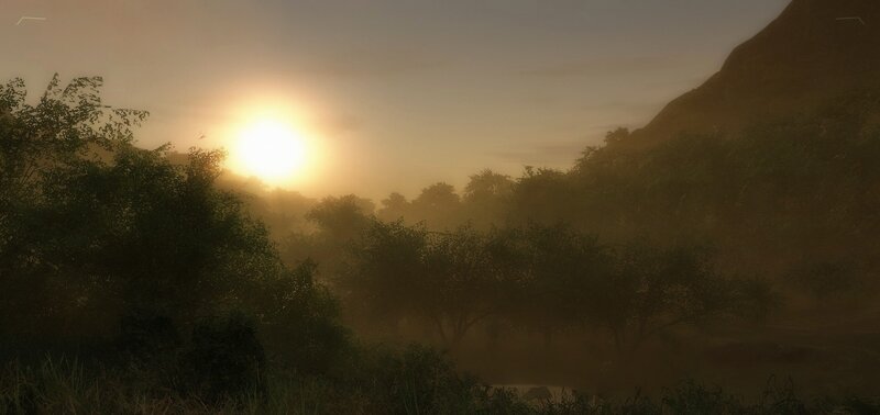 Sunrise over Forest — Yellow
