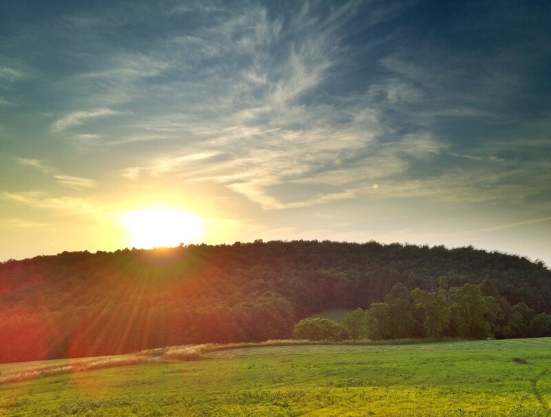 Sunrise over Forested Hill — Green