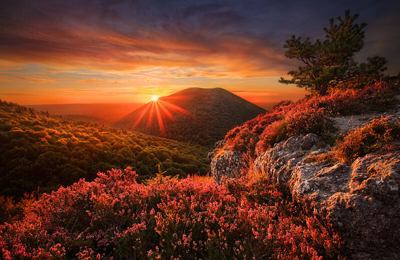 Sunrise over Forested Hill