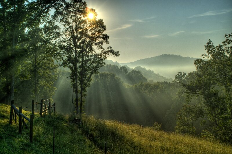 Sunrise over Forested Hills — Green, Serene