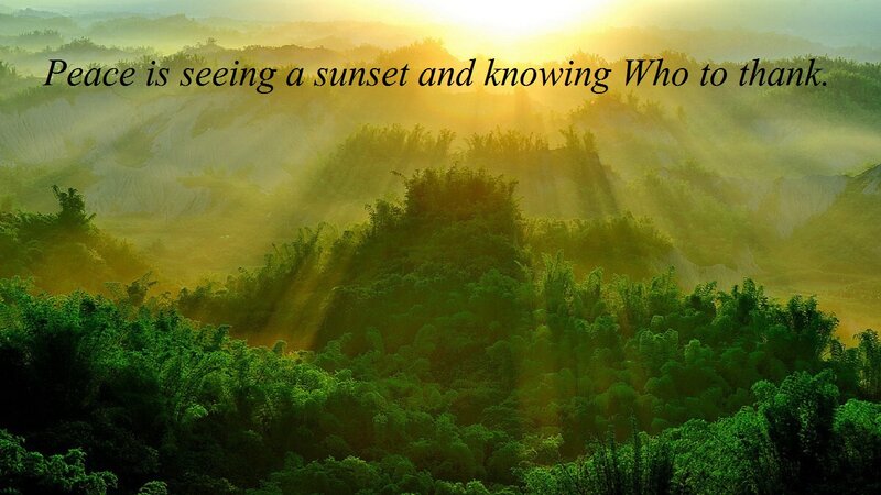 Sunrise over Forested Hills — Green
