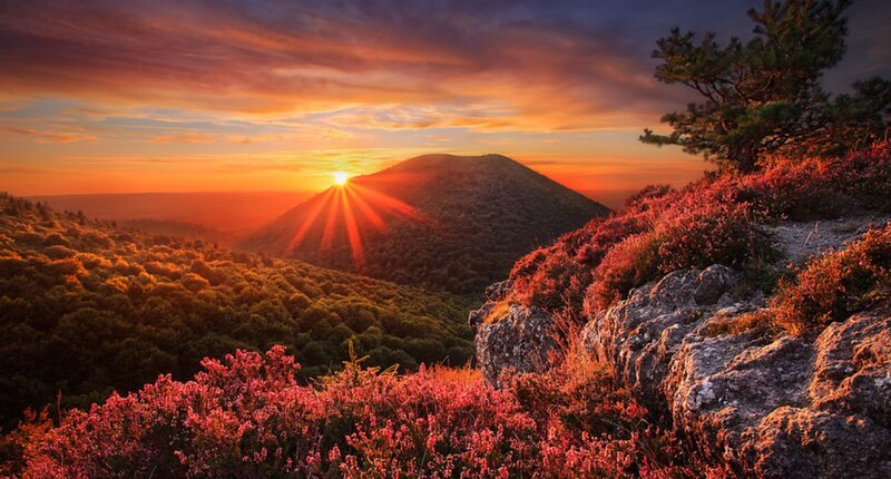 Sunrise over Forested Hills — Orange, Dramatic