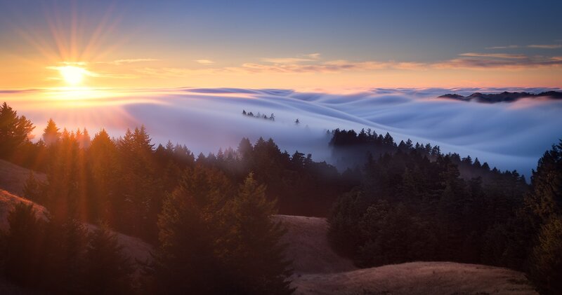 Sunrise over Forested Hills — Orange, Serene