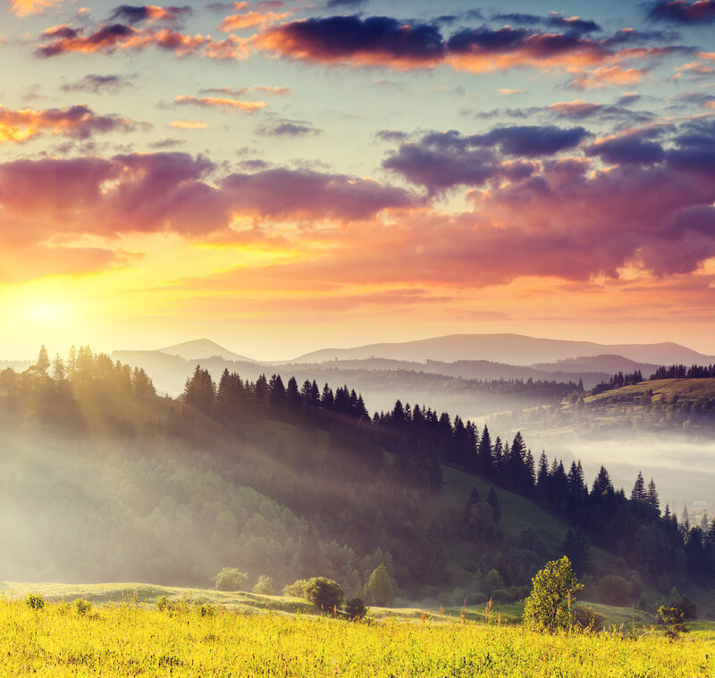 Sunrise over Forested Hills — Yellow