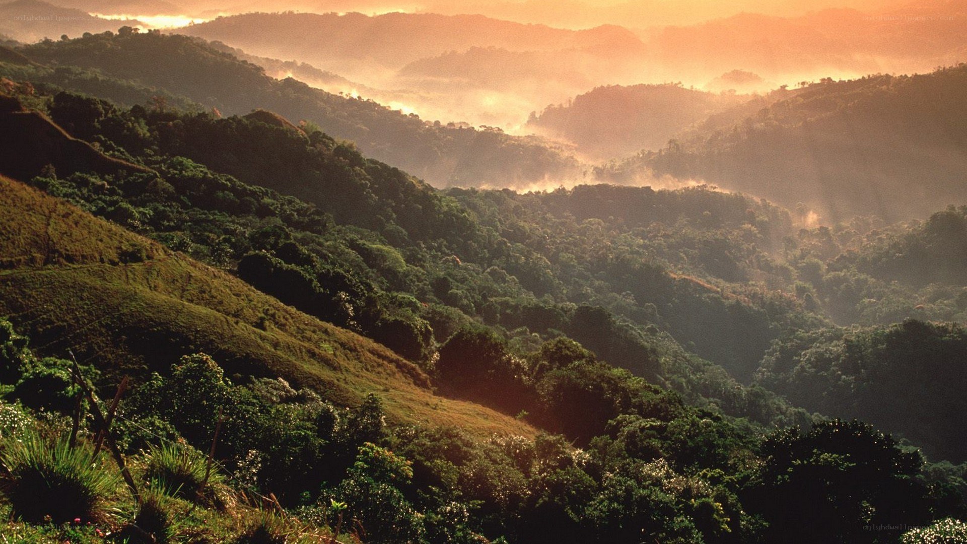 Sunrise over forested hills