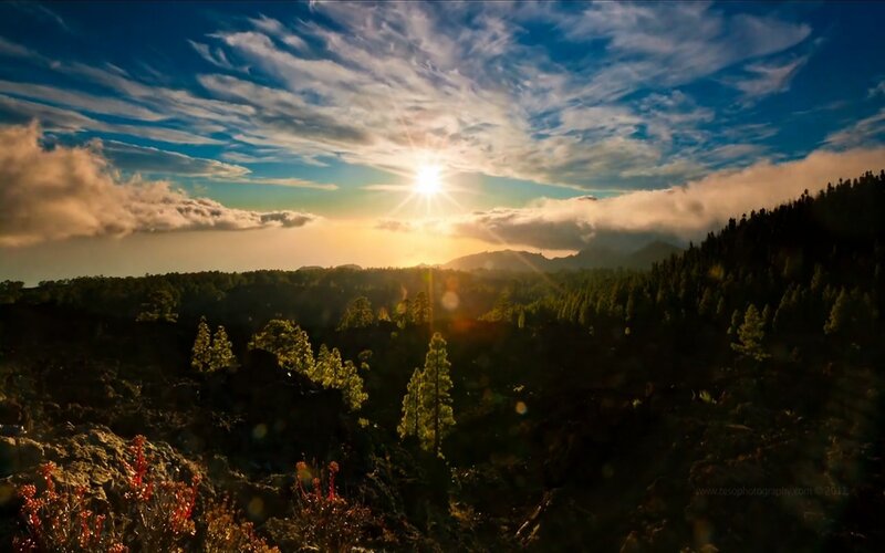 Sunrise over forested mountains