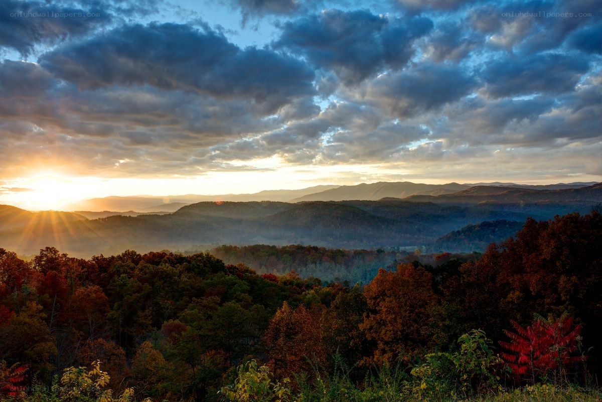 Sunrise over forested mountains