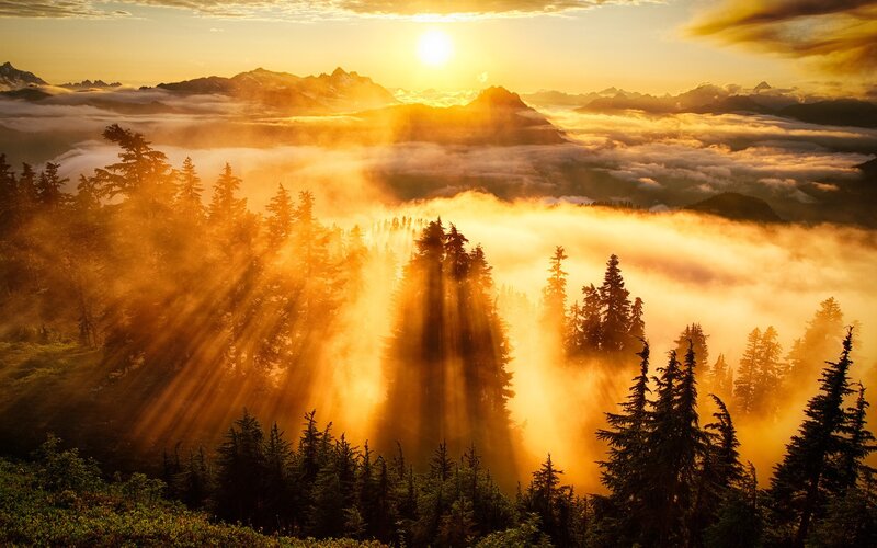 Sunrise over Forested Mountains — Gold, Serene