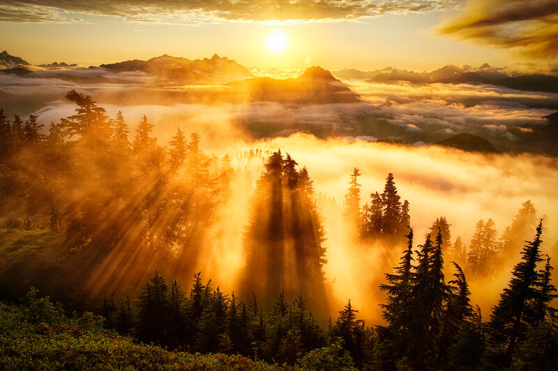 Sunrise over Forested Mountains — Gold