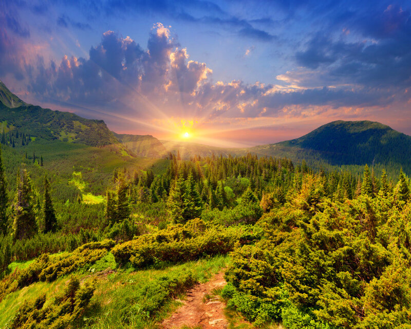 Sunrise over Forested Mountains — Green, Dramatic
