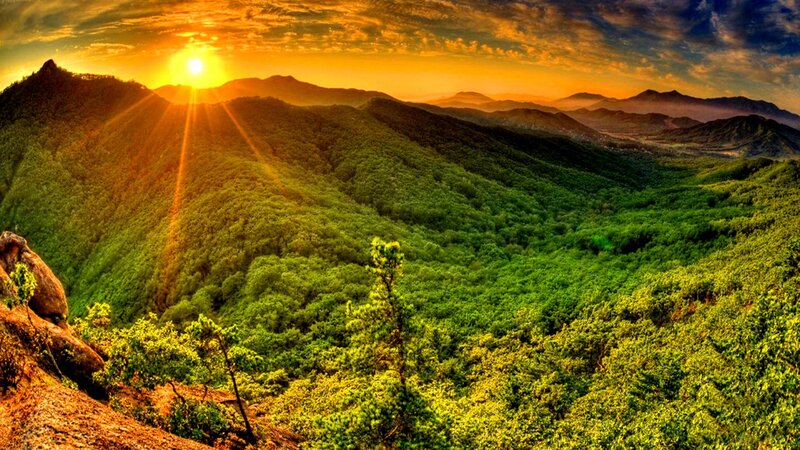 Sunrise over Forested Mountains — Green, Serene