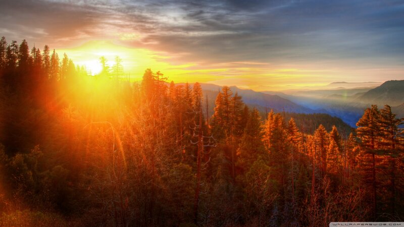 Sunrise over Forested Mountains — Orange