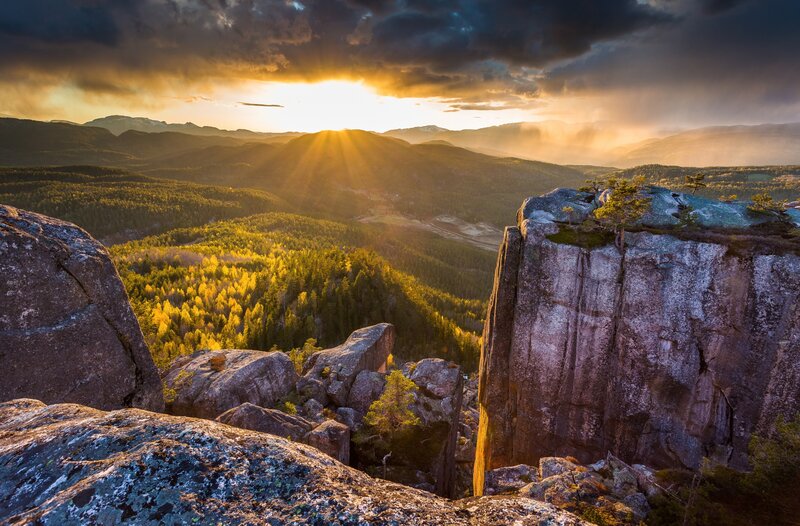 Sunrise over Forested Mountains — Yellow
