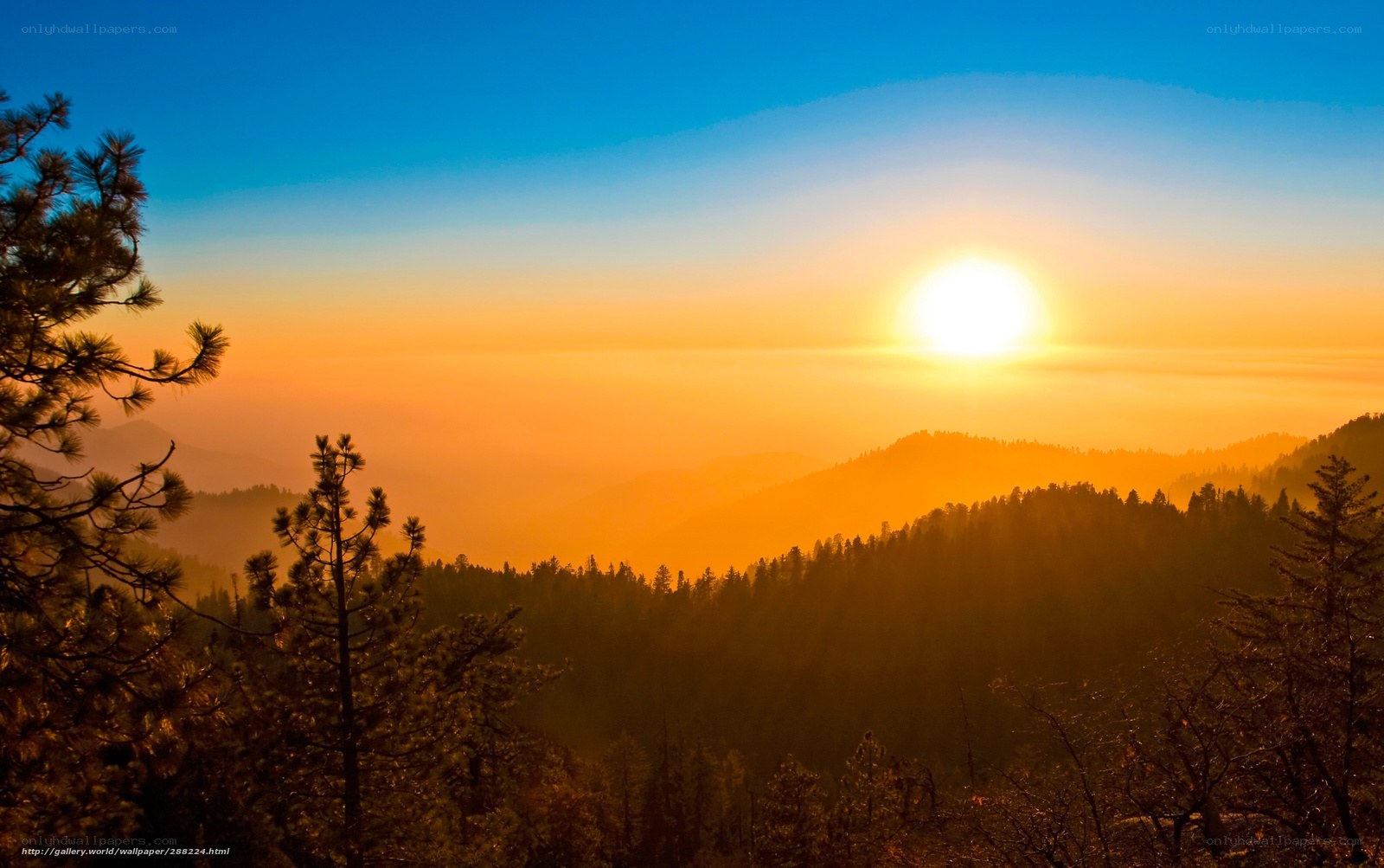 Sunrise over forested mountains