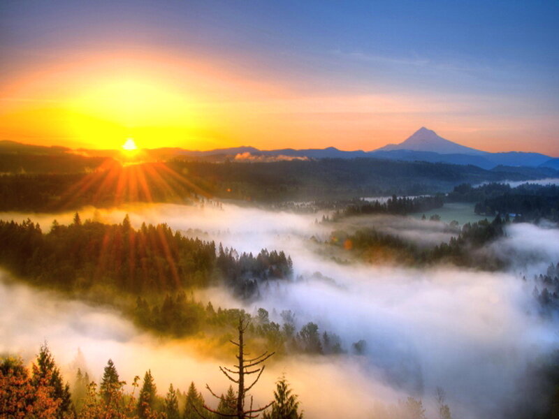 Sunrise over Forested Valley — Yellow