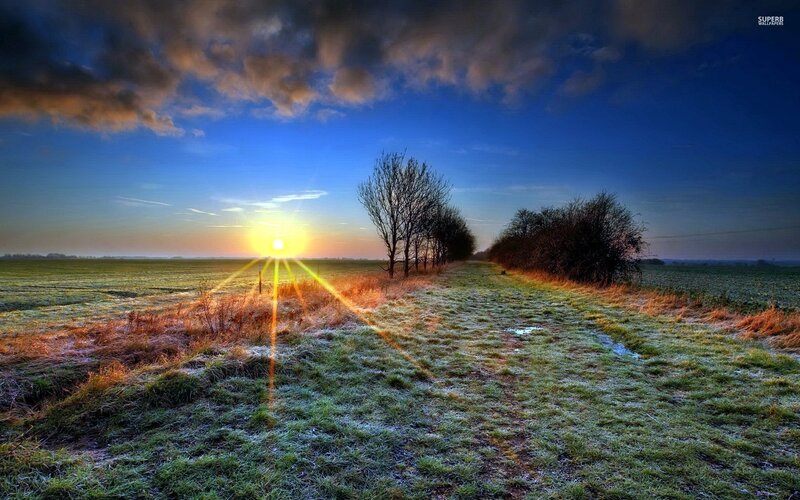 Sunrise over Frosty Field — Blue