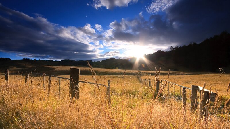 Sunrise over Golden Field