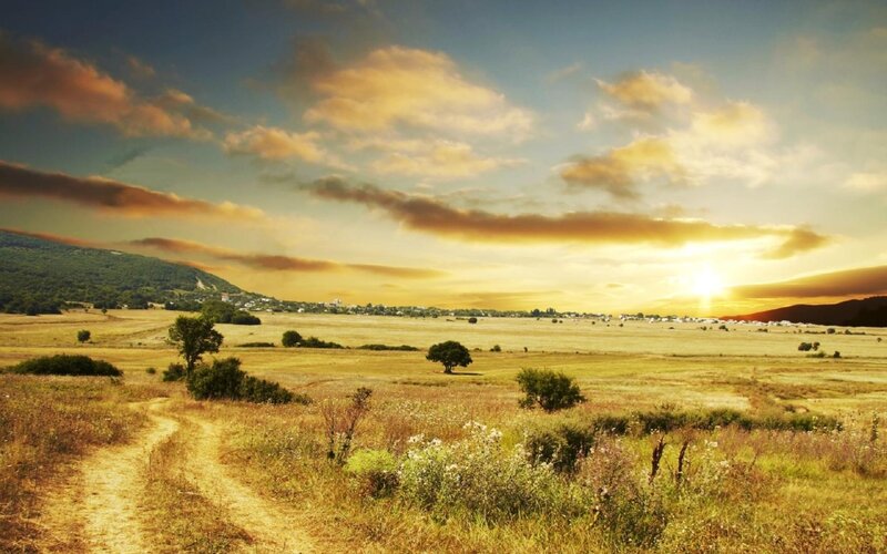 Sunrise over Golden Field — Yellow, Serene