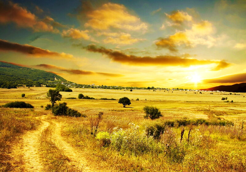 Sunrise over Golden Field — Yellow