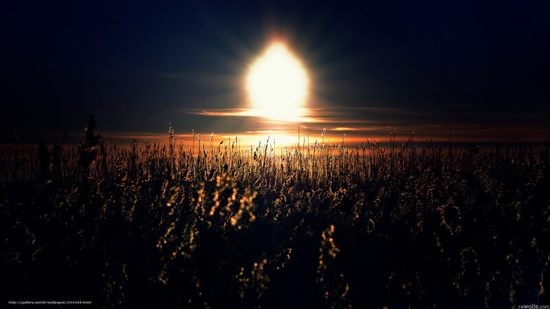 Sunrise over Grass Field — Black