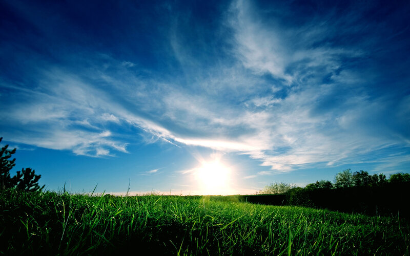 Sunrise over Grass Field — Blue, Serene, Photograph