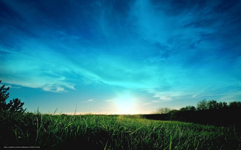 Sunrise over Grass Field — Blue, Serene