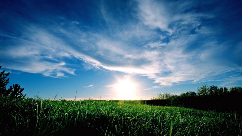 Sunrise over Grass Field — Blue