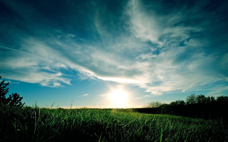 Sunrise over Grass Field — Green, Dramatic