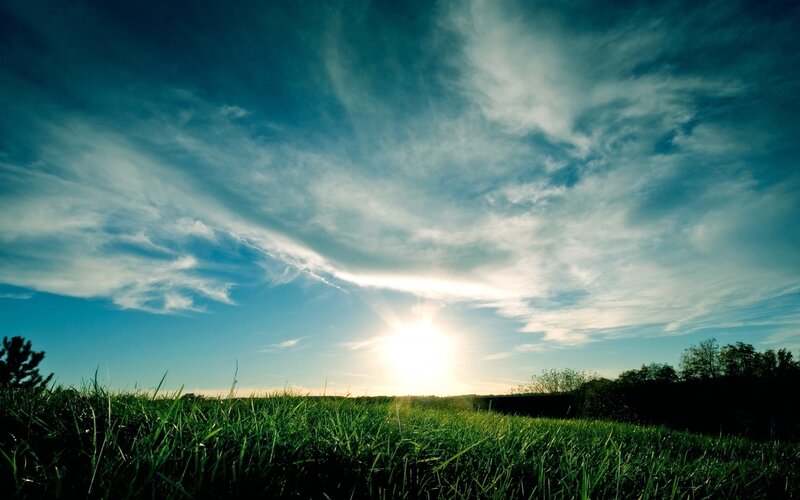 Sunrise over Grass Field — Green, Serene, Photograph, Sky, Clouds, Trees, Blue, White