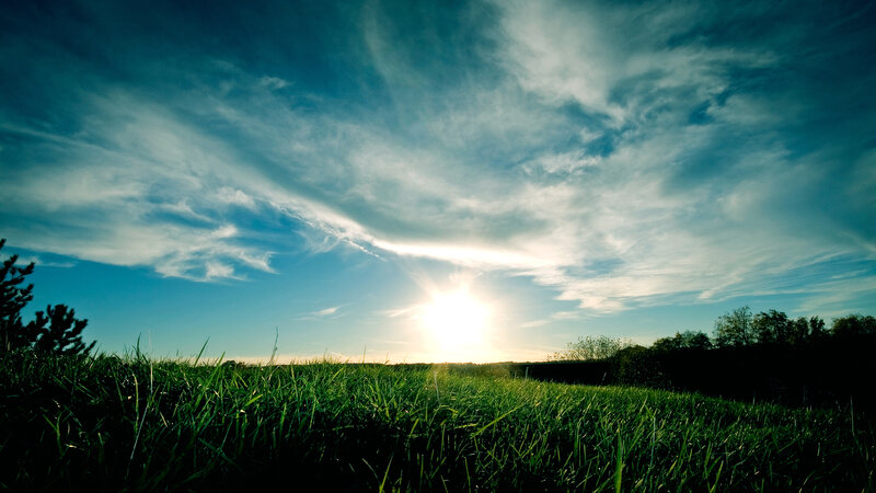 Sunrise over Grass Field — Green, Serene, Photograph, Sky, Clouds, Trees