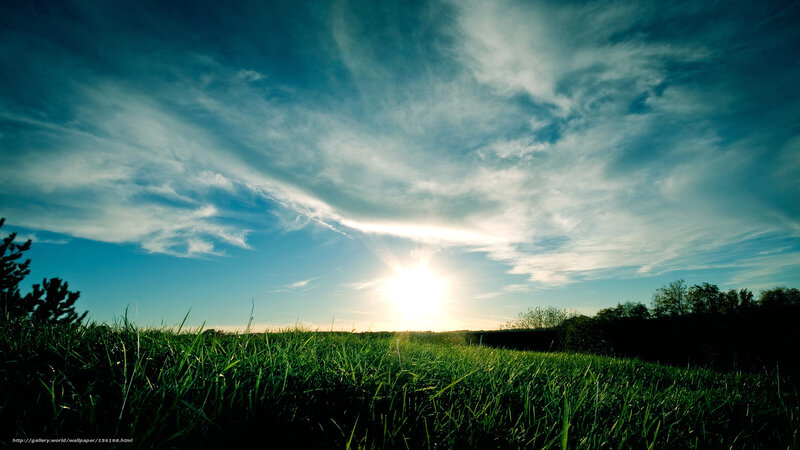 Sunrise over Grass Field — Green, Serene, Photograph