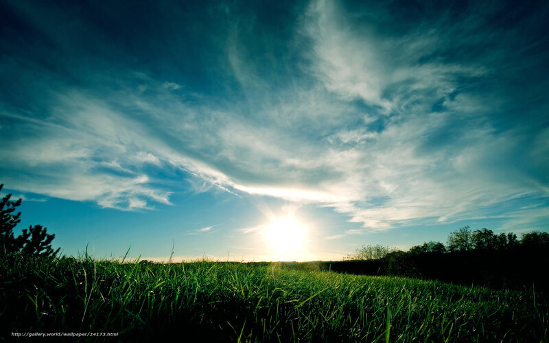 Sunrise over Grass Field — Green