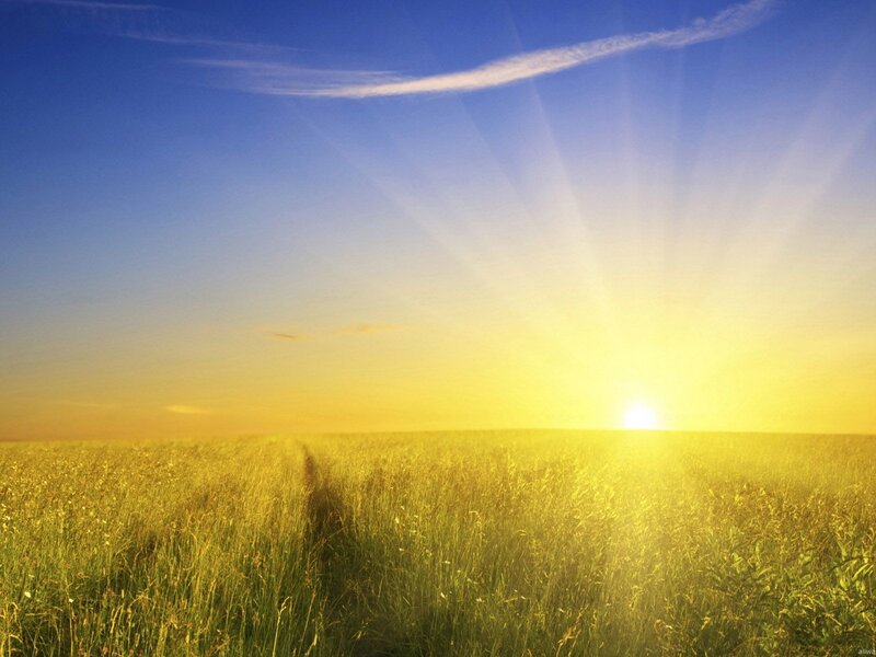 Sunrise over Grass Field